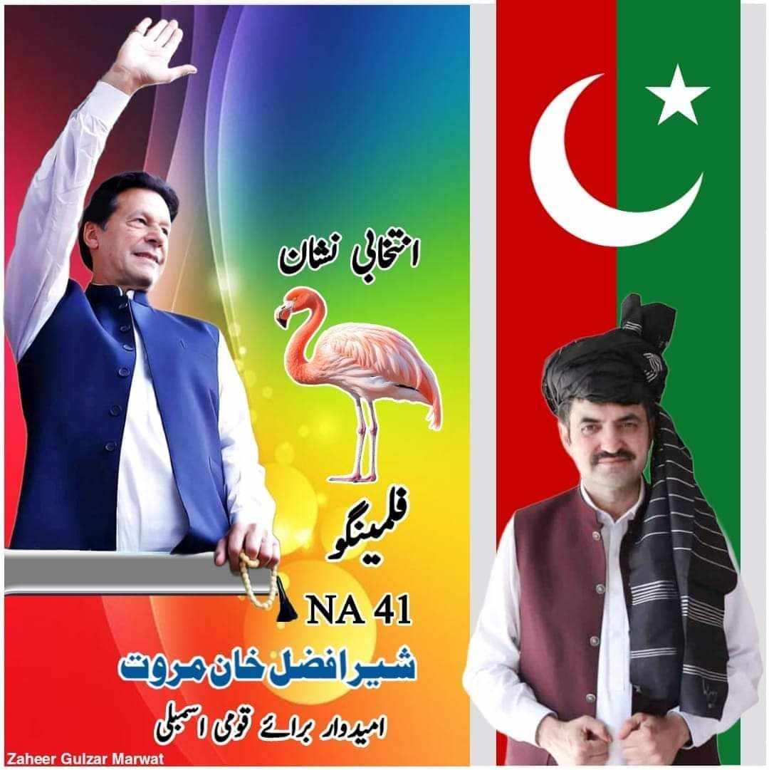 PTI candidates opt for independent symbols, withdraw PTI-N tickets 