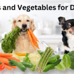 Fruits and Vegetables for Dogs Benefits, Risks, and Guidelines