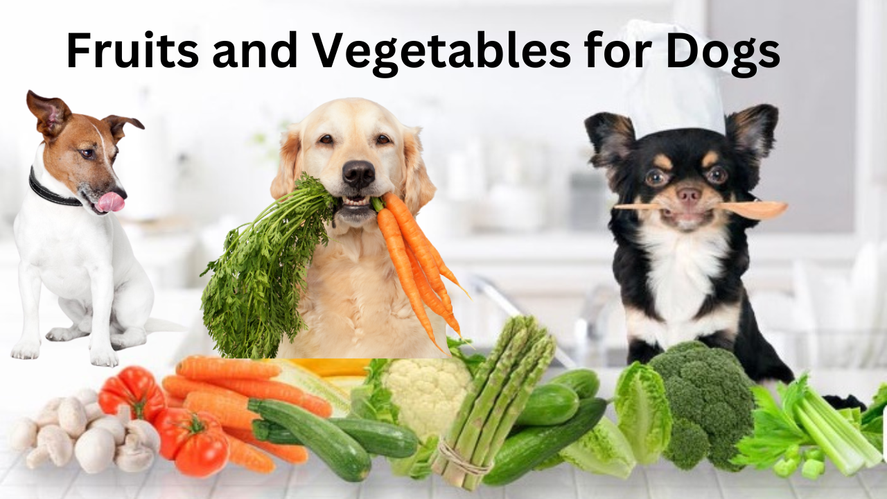 Fruits and Vegetables for Dogs Benefits, Risks, and Guidelines