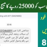 How To 8171 Ehsaas Program 25000 CNIC Check Online Registration