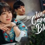When the Camellia Blooms Korean drama Dubbed in Hindi and Urdu watch online