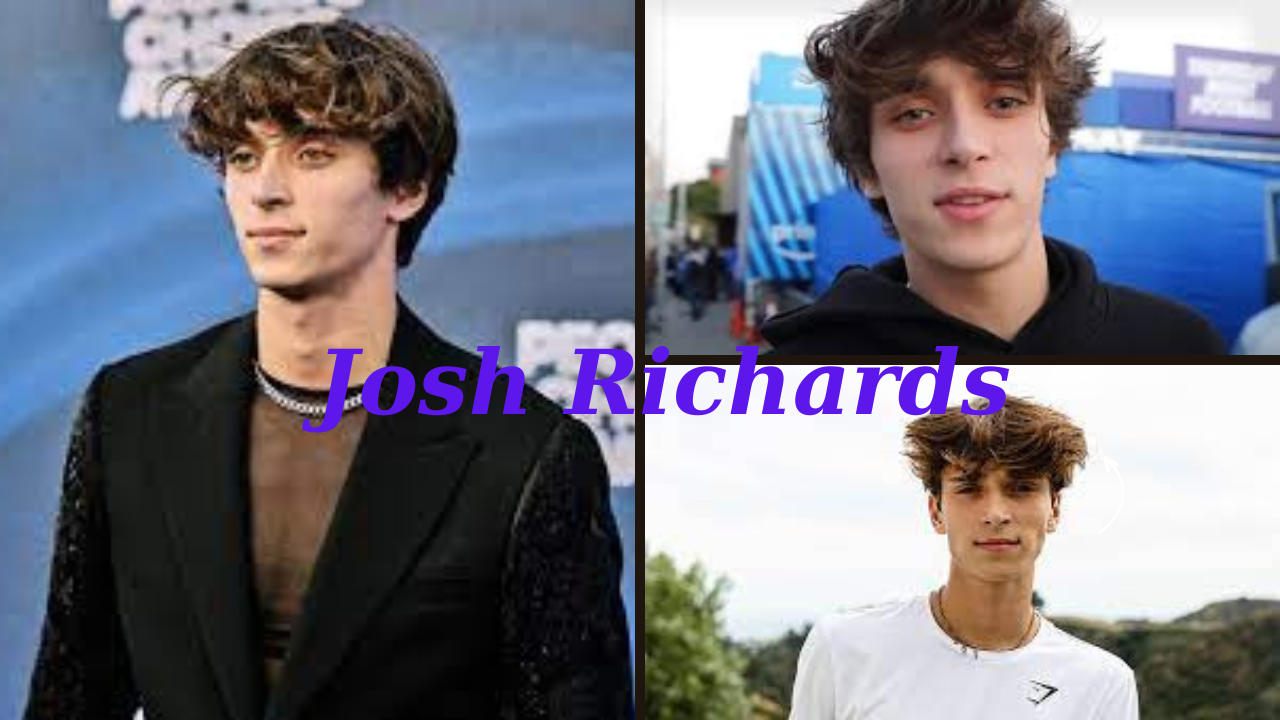 Josh Richards age, height, net worth, naked , hair,Height