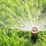 The Best Time to Water Grass for a Greener Lawn—and Less Water Waste