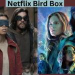 Five Sci-Fi Thrillers to Watch on Netflix if You Enjoy Bird Box