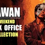 Jawan Movie Box Office Collection: Unveiling the Worldwide Success