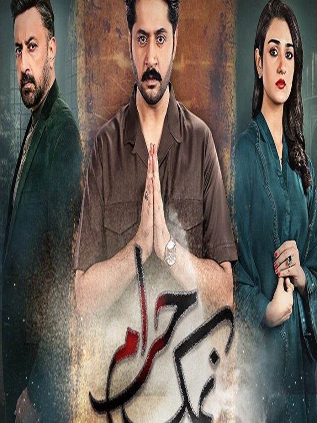 Watch Best  Upcoming Pakistani Dramas