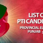 PTI Candidates for Election 2024 Fial list of MNA and MPA