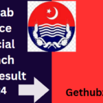 Unveiling the Punjab Police Special Branch Jobs Result 2024