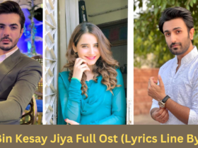 Tum Bin Kesay Jiya Full Ost (Lyrics Line By Line)