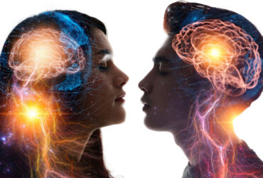 Exploring Gender Differences: A Comparative Analysis of Male and Female Brains
